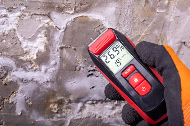 Best Attic Mold Remediation in Cedar Creek, TX